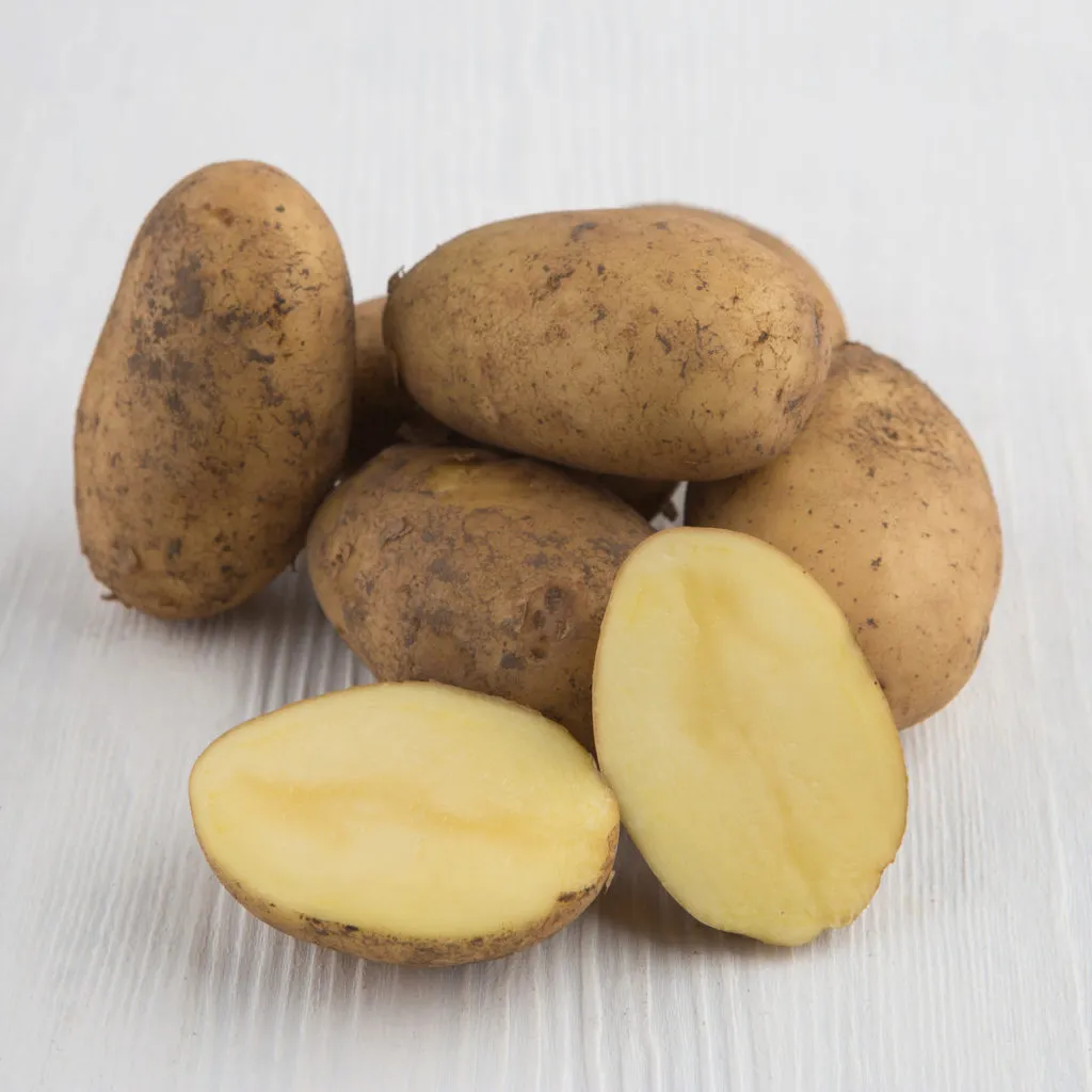 картофель гала в Перми