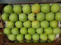 яблоки Голден 60+ в Молдавии