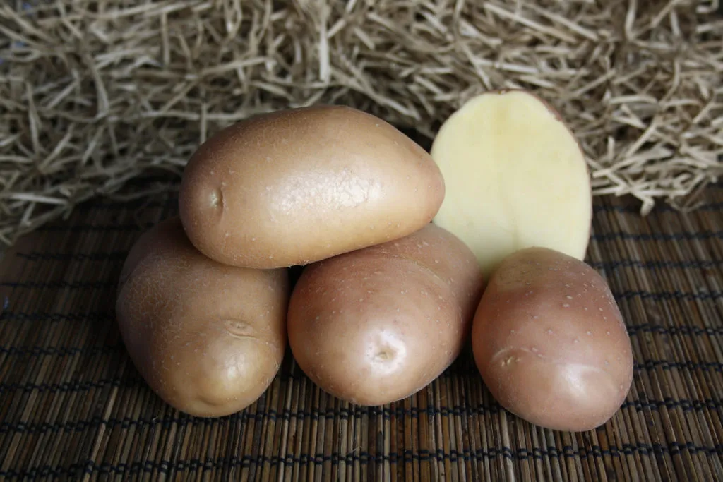 семенной картофель оптом в Домодедово 3