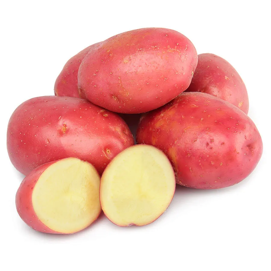 фотография продукта картофель 5+ оптом