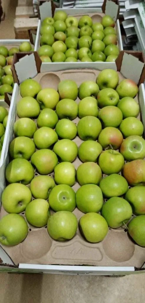 яблоки Гренни в Волгограде