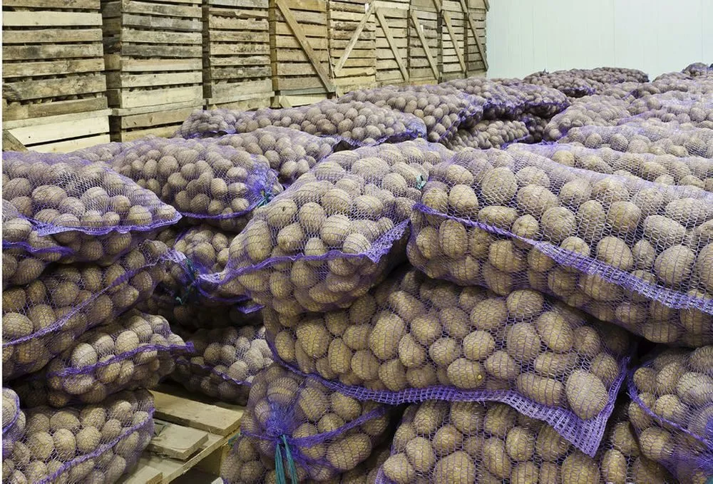 картофель в Ростове-на-Дону