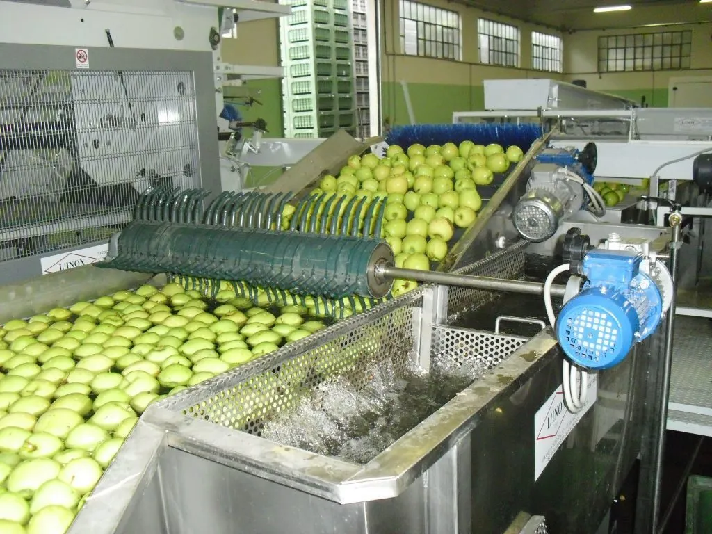 оборудование для транспортировки фруктов в Новосибирске