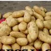 картофель из Египта от прямого импортера в Аксае