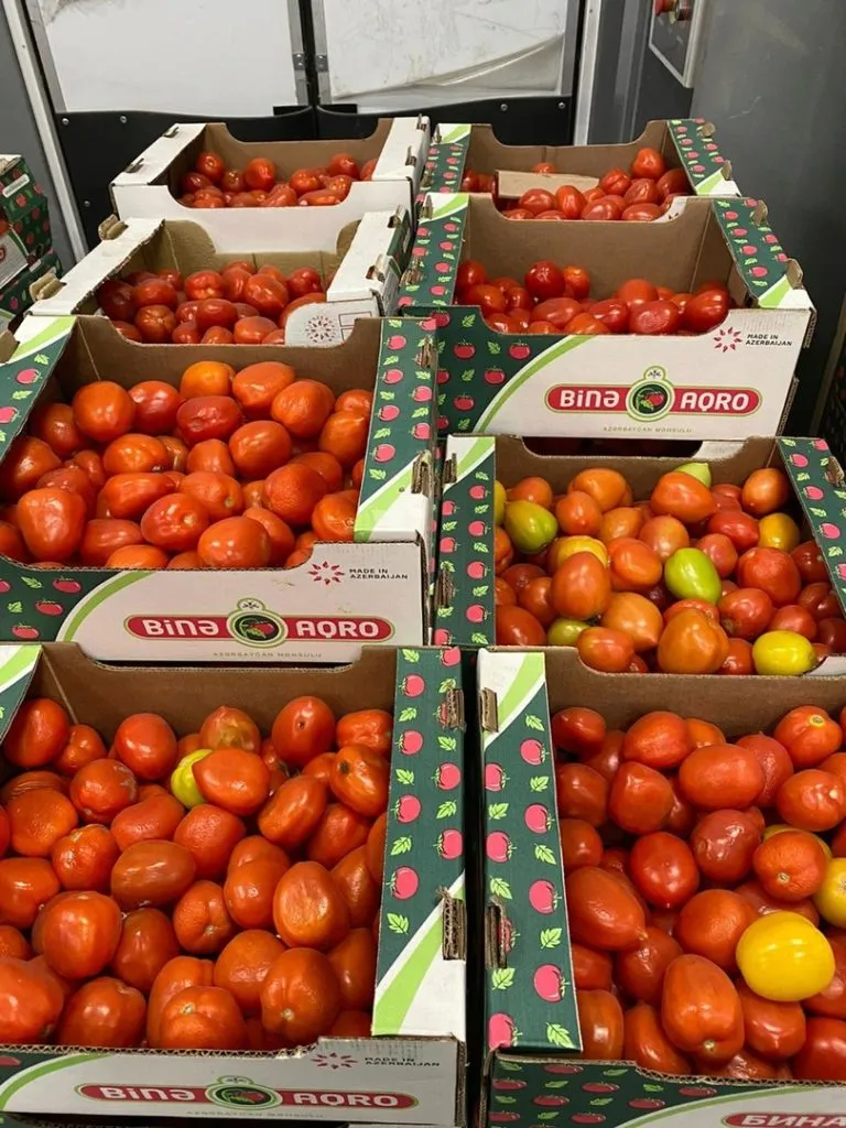 томат из Азербайджана в Новосибирске