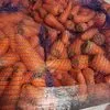 морковь мытая в Истре