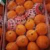 прямые поставки мандаринов из Марокко в Маврикии