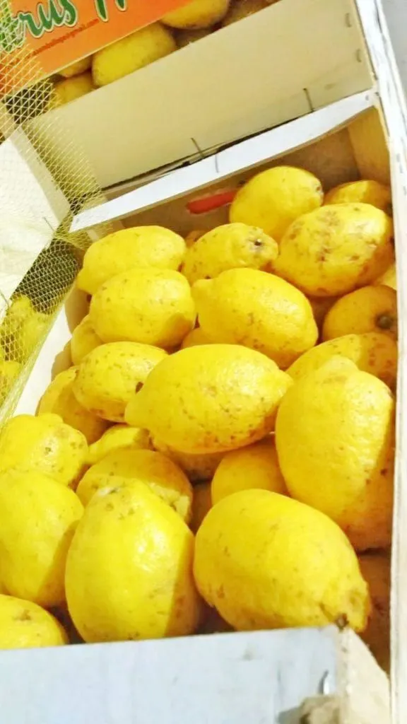 фотография продукта Лимон