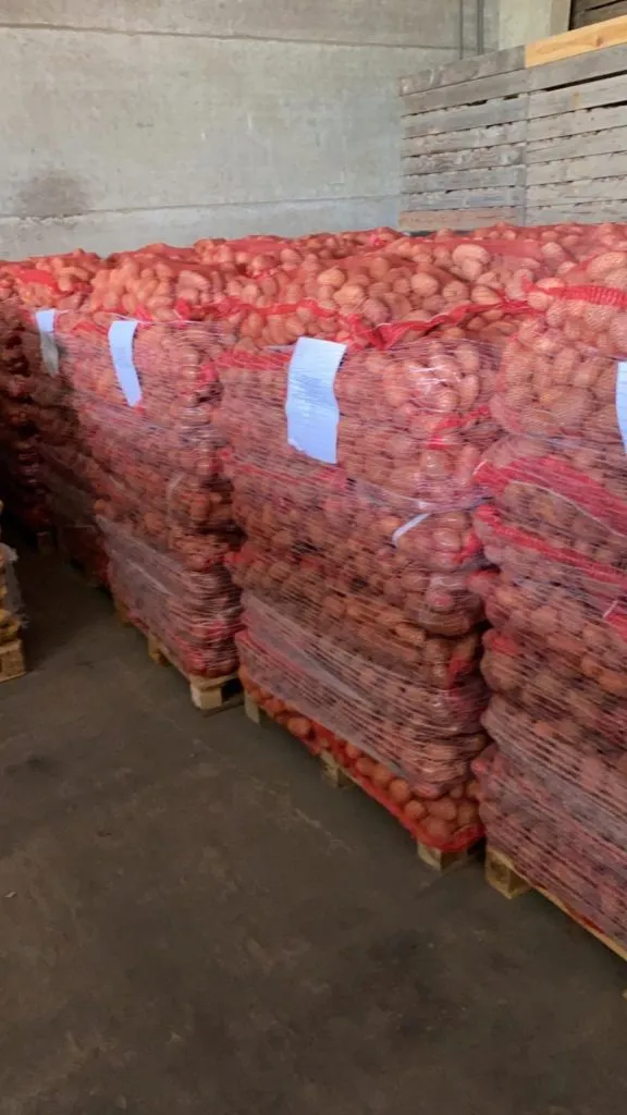 картофель из Бельгии, урожай 2019 в Республике Беларусь