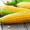 сахарная сладкая кукуруза в початках в Ростове-на-Дону 5