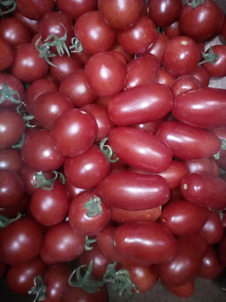 томаты черри в Волгограде 2