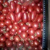 томаты черри в Волгограде