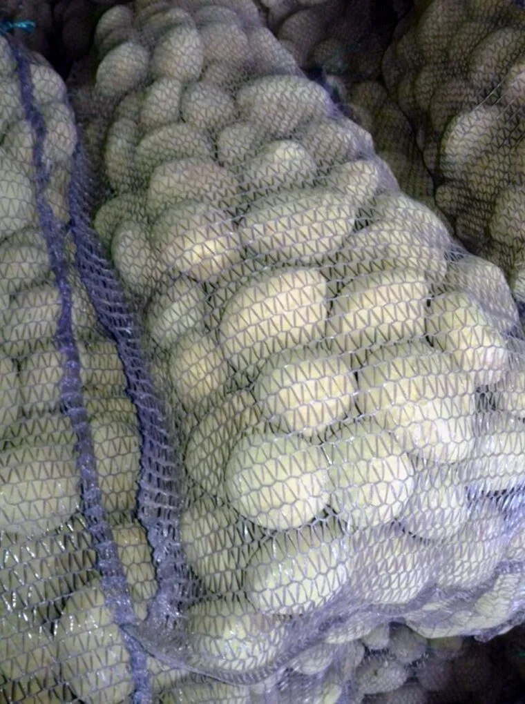 фотография продукта Скарб молодой картофель от КФХ