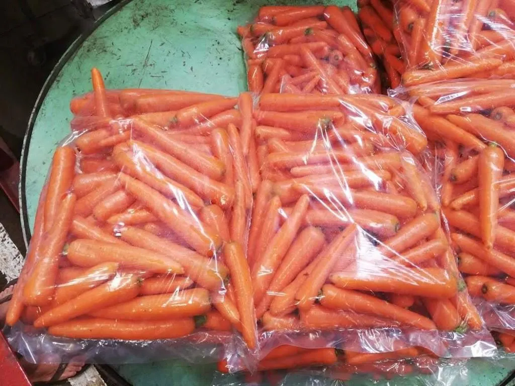 фотография продукта  Морковь от производителя 