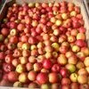 закупаем  яблоки опт от 20 тонн. в Краснодаре