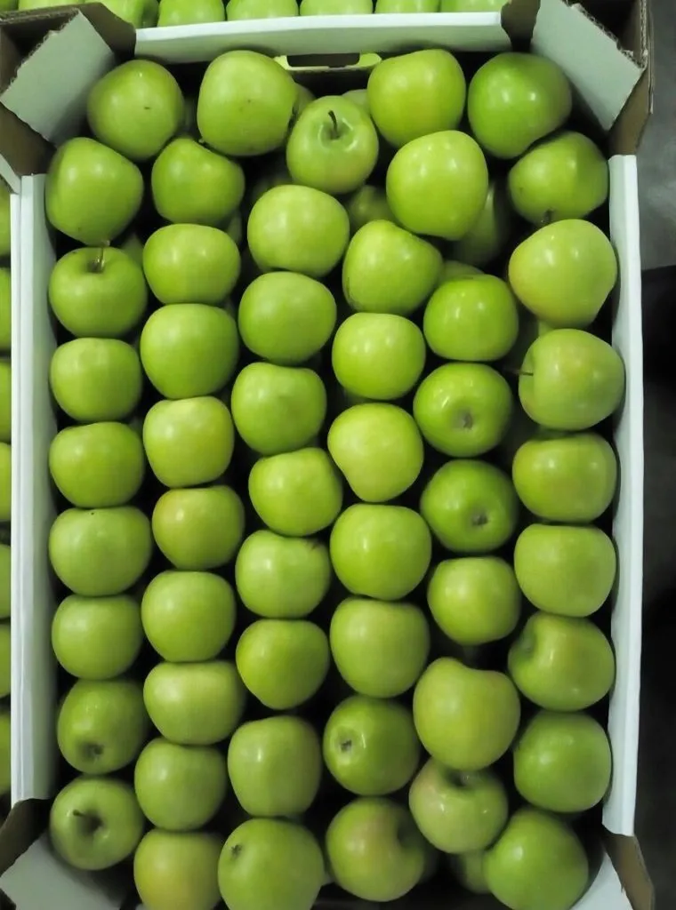 закупаем  яблоки опт от 20 тонн. в Краснодаре 3
