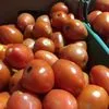 томат сливовидный нестандарт в Ульяновске
