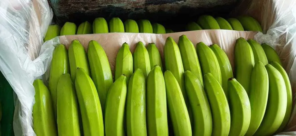 фотография продукта Бананы (Колумбия).