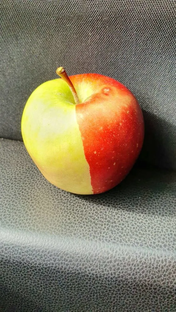 фотография продукта Яблоки свежие