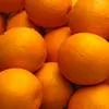 апельсины в Иране 3