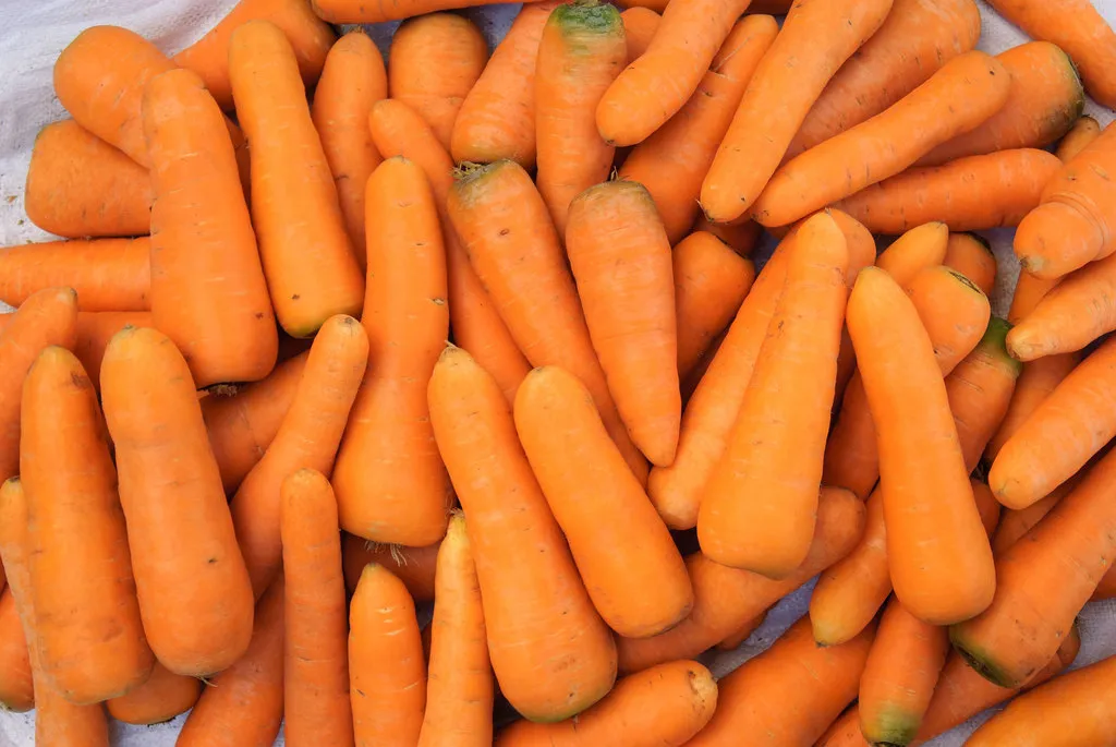 морковь оптом урожай 2020 из Киргизии в Киргизии 3