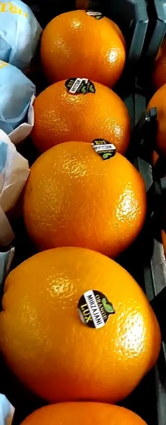 апельсины, Иран в Санкт-Петербурге 2
