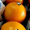 апельсины, Иран в Санкт-Петербурге 2