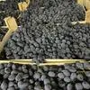 виноград Молдова оптом от производителя в Москве 3