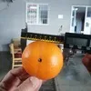 апельсин Мандарин Лимон Грейпфрут 0.60 $ в Турции 12