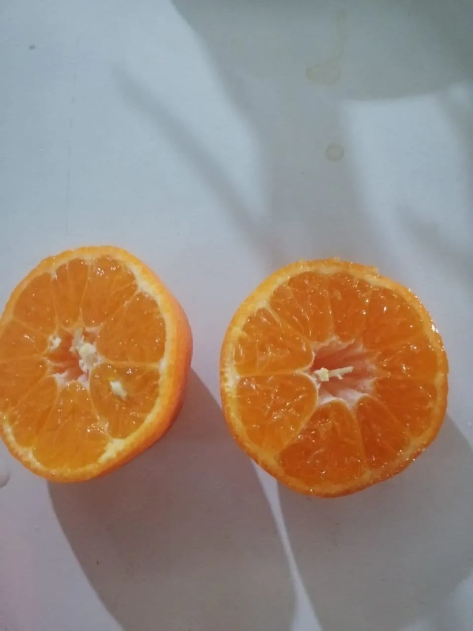 апельсин Мандарин Лимон Грейпфрут 0.60 $ в Турции 4