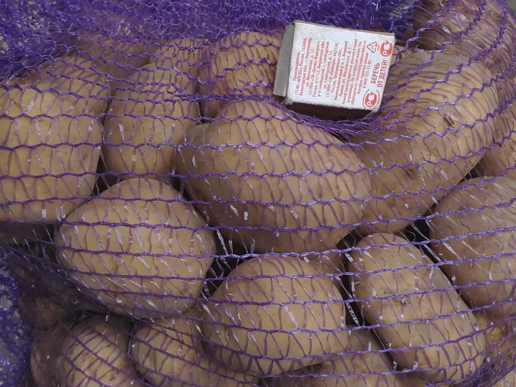 картофель сетевой в Брянске