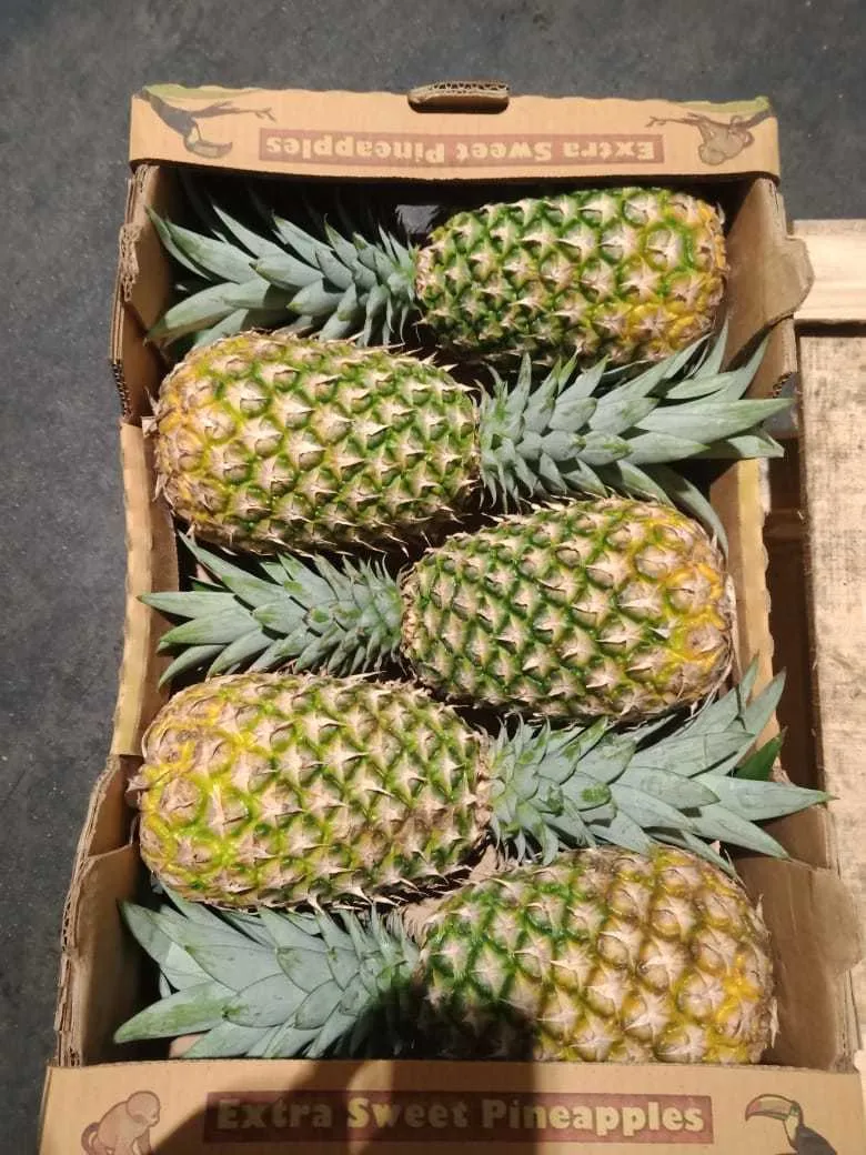 фотография продукта свежий ананас