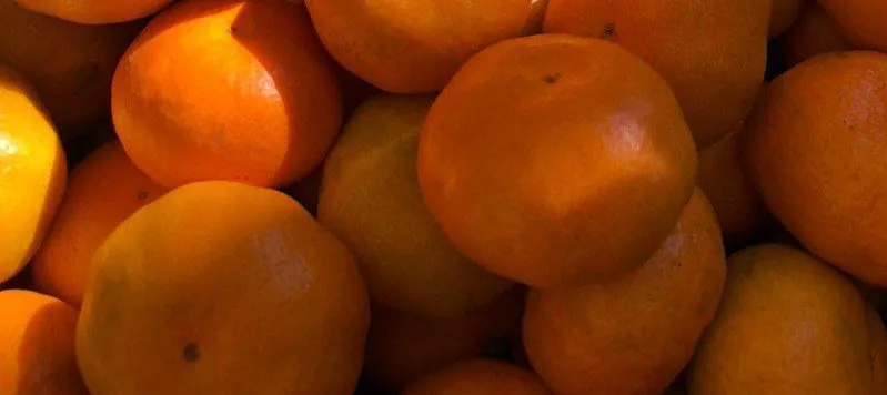 фотография продукта Апельсины и мандарины автонормы