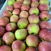 яблоко Фуджи урожай 2020 в Краснодаре