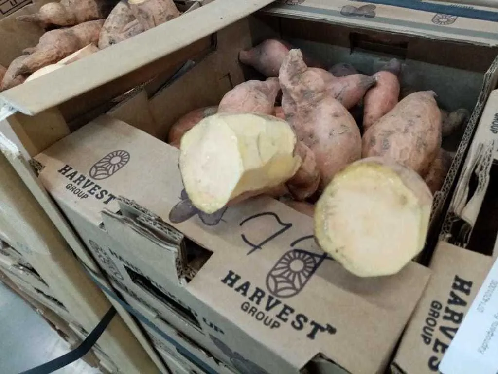 фотография продукта Продам картофель Батат