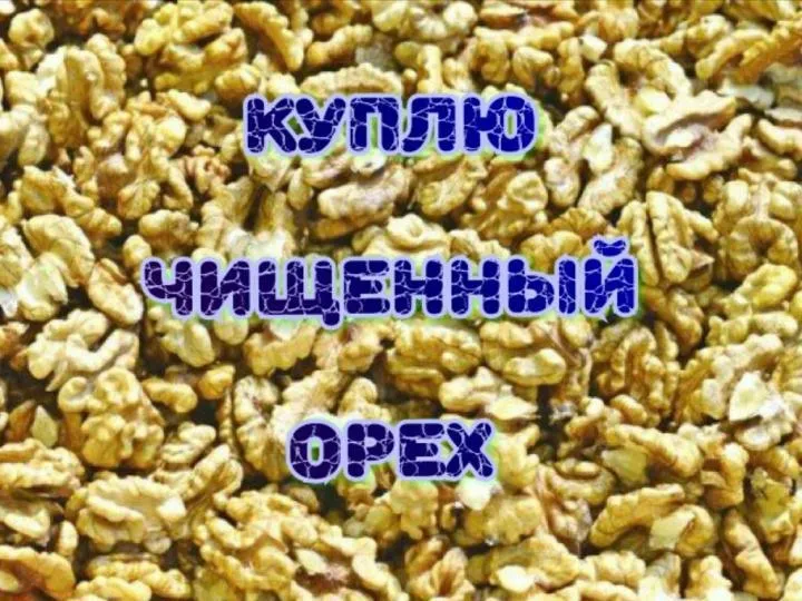 грецкие орехи в Ростове-на-Дону 2